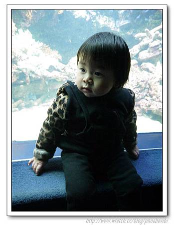 P1100140.jpg P1100140.jpg