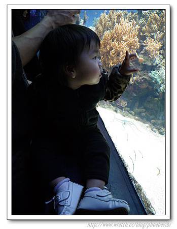 P1100144.jpg P1100144.jpg