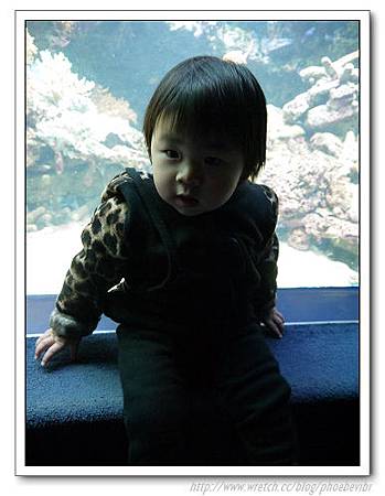 P1100141.jpg P1100141.jpg