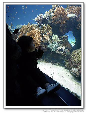 P1100145.jpg P1100145.jpg