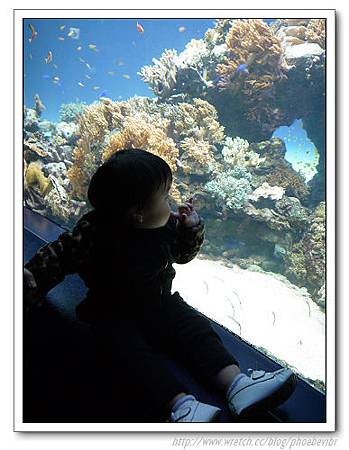 P1100146.jpg P1100146.jpg