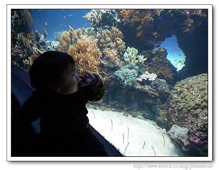 P1100147.jpg P1100147.jpg