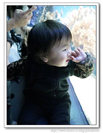 P1100148.jpg P1100148.jpg