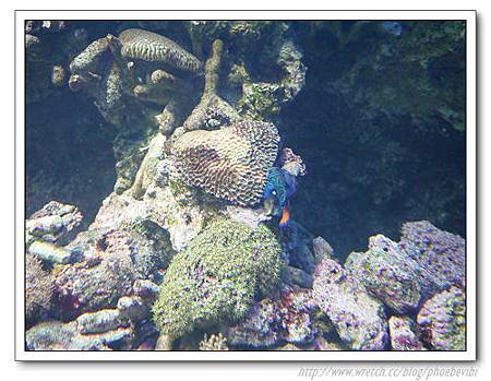 P1100150.jpg P1100150.jpg