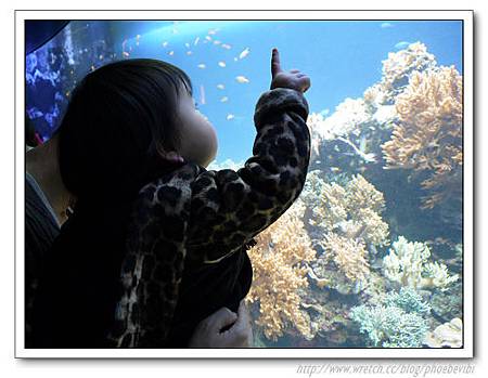 P1100151.jpg P1100151.jpg