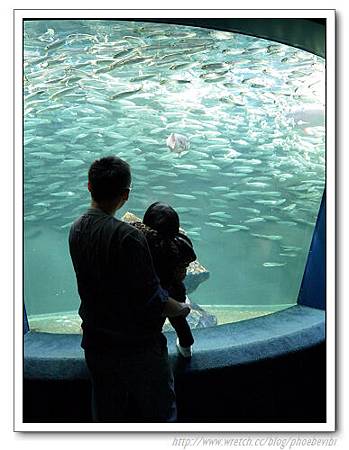 P1100154.jpg P1100154.jpg