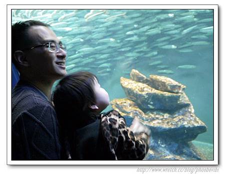 P1100157.jpg P1100157.jpg