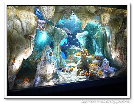 P1100168.jpg P1100168.jpg