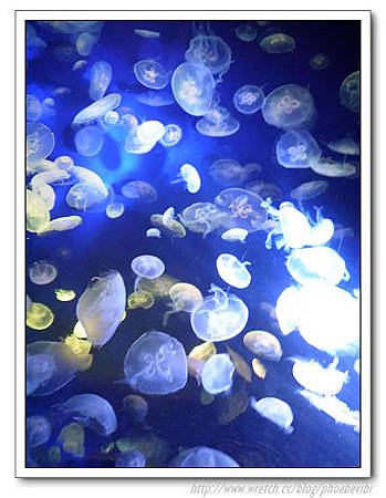 P1100183.jpg P1100183.jpg