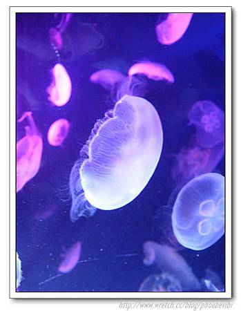 P1100184.jpg P1100184.jpg