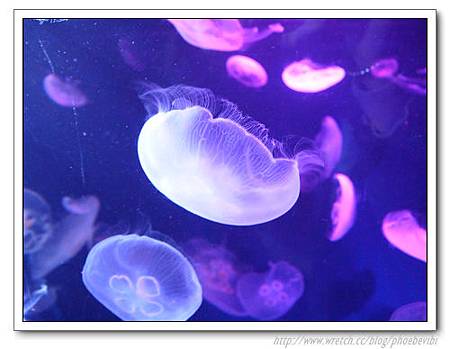 P1100185.jpg P1100185.jpg