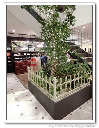 CIMG1535.jpg CIMG1535.jpg