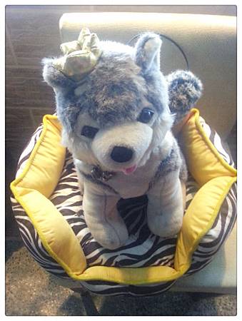 20130816_225725_mh1376672987589.jpg 20130816_225725_mh1376672987589.jpg