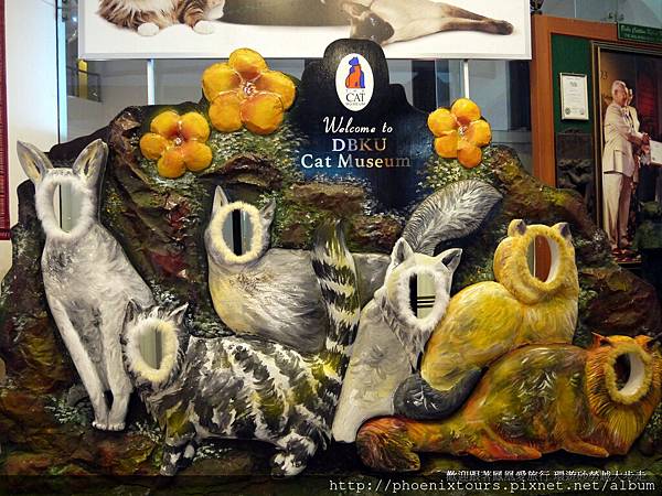 喵～我是貓，世界首座貓咪博物館歡迎您婆羅洲雨林秘境 砂勞越古晉 犀鳥之鄉 巴哥國家公園 五日(獨家直航)
