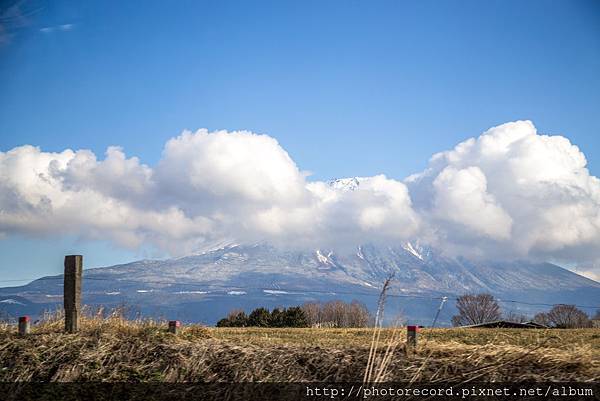 IMG_7310.JPG IMG_7310.JPG