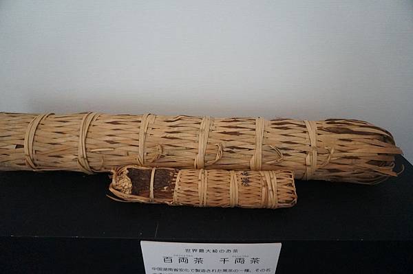 DSC02734.JPG DSC02734.JPG