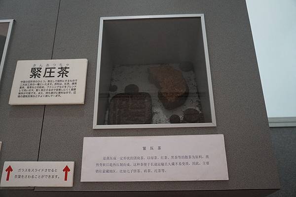 DSC02736.JPG DSC02736.JPG