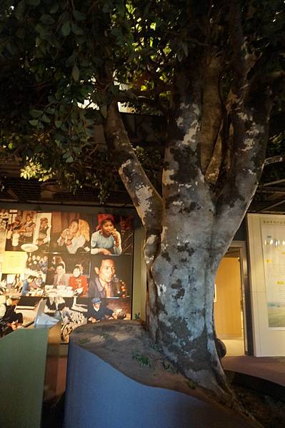 DSC02774.JPG DSC02774.JPG