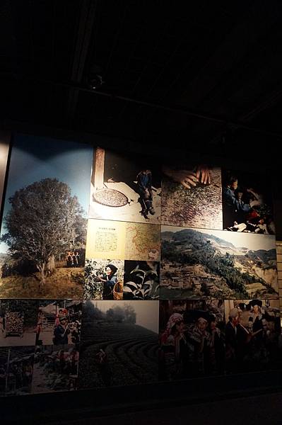 DSC02775.JPG DSC02775.JPG