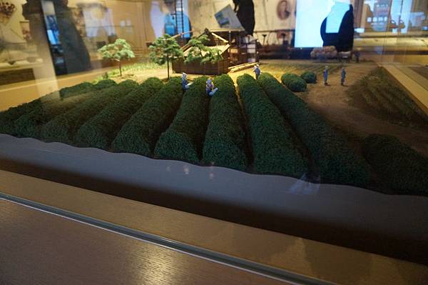 DSC02792.JPG DSC02792.JPG