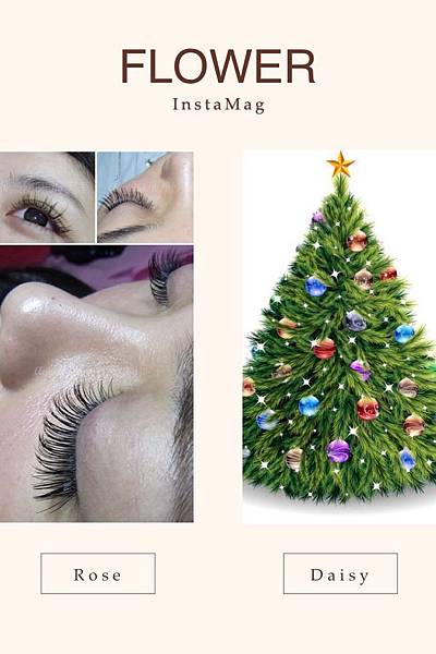 S__15294468 S__15294468