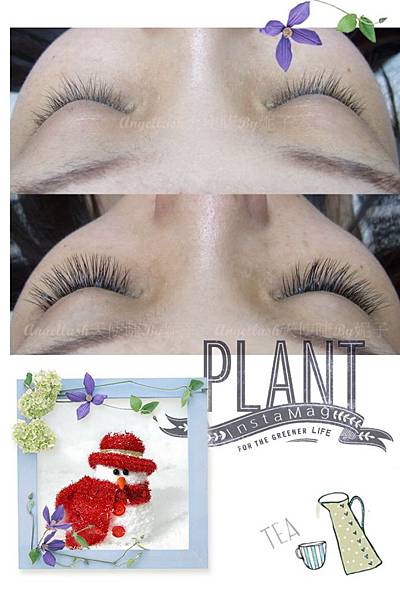 S__15294472 S__15294472