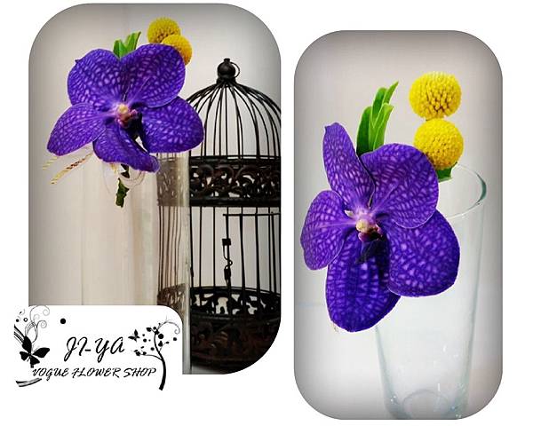 深紫萬代蘭＊胸花