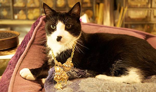 0829_CulutreClub_Karen03