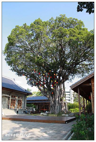 IMG_5577.jpg IMG_5577.jpg