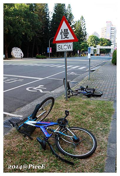 IMG_9612_副本.jpg IMG_9612_副本.jpg