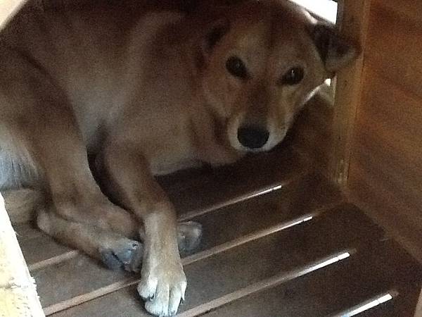 睡眼惺忪的逼 睡眼惺忪的逼