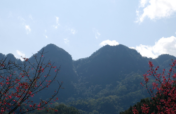 DSC_0228.JPG DSC_0228.JPG