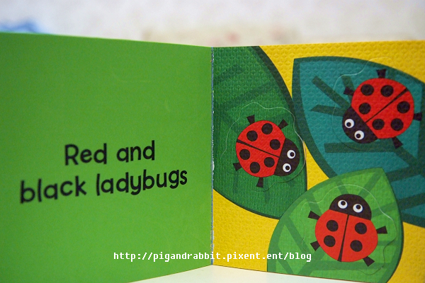 DSCF2320.jpg DSCF2320.jpg