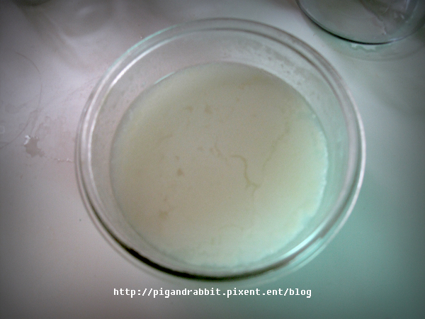 IMG_8496.jpg IMG_8496.jpg