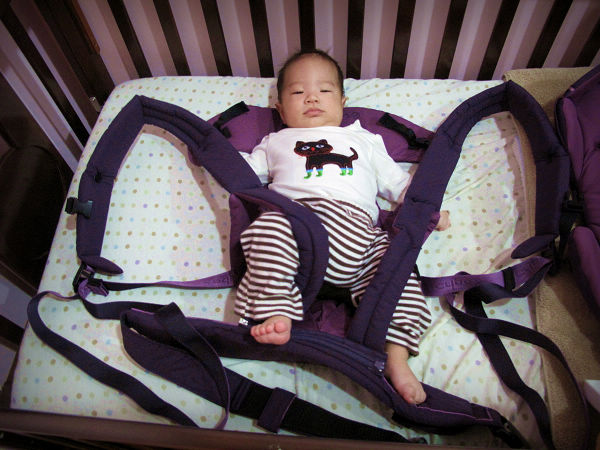 IMG_8077.jpg IMG_8077.jpg