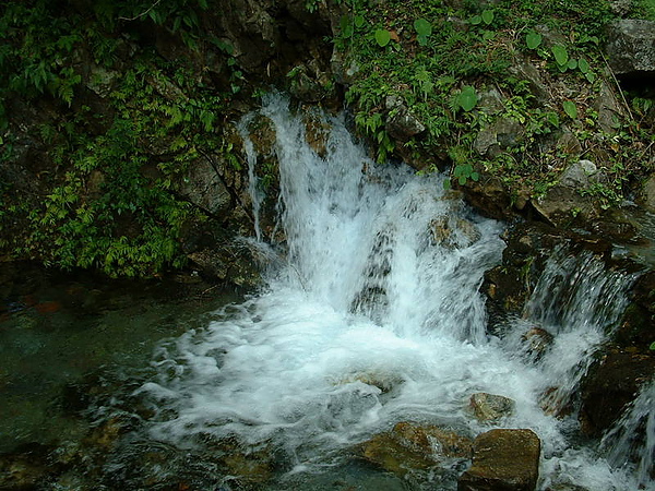 長春祠旁的湧泉泉頭