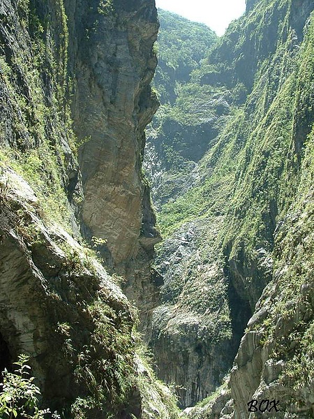 岩石側面