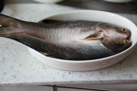 IMG_9040.JPG IMG_9040.JPG