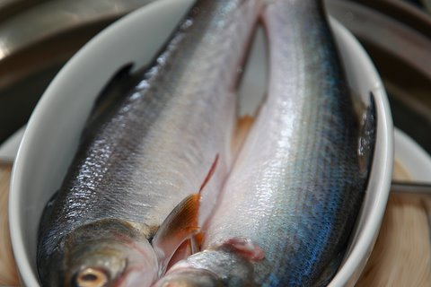 IMG_9160.JPG IMG_9160.JPG