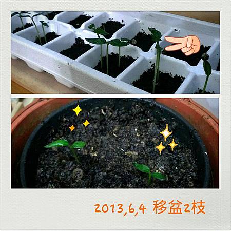 2013-06-04-19-23-42_deco 2013-06-04-19-23-42_deco