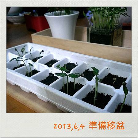 2013-06-04-18-37-52_deco 2013-06-04-18-37-52_deco