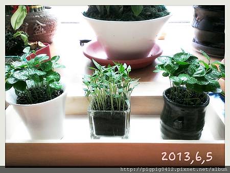 2013-06-05-09-19-56_deco 2013-06-05-09-19-56_deco