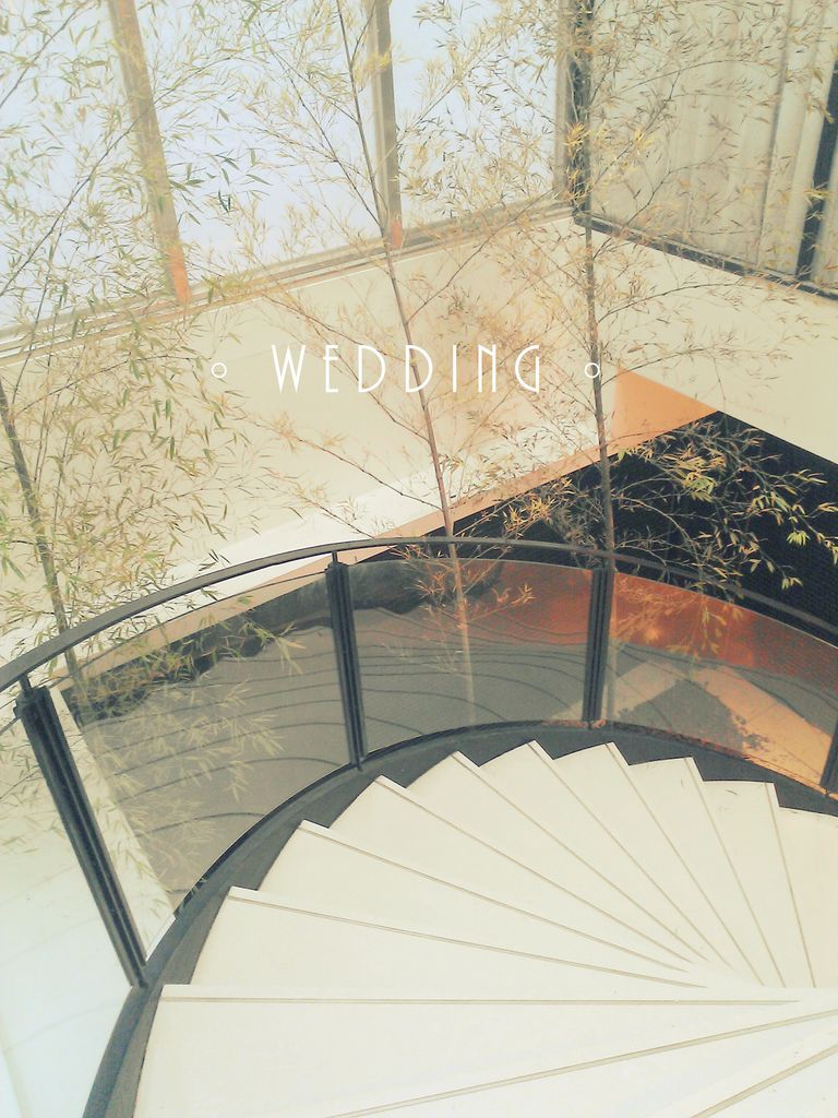 WP_001846.jpg WP_001846.jpg