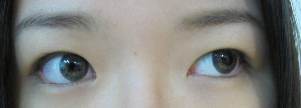 IMG_9784.JPG IMG_9784.JPG