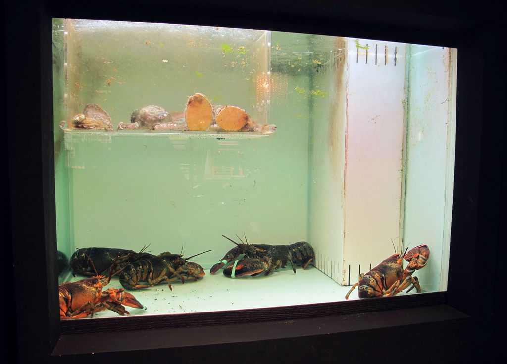 IMG_1385.JPG IMG_1385.JPG