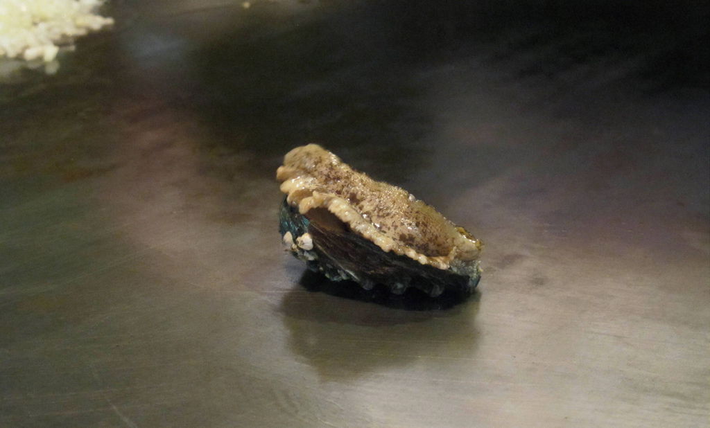 IMG_1325.JPG IMG_1325.JPG