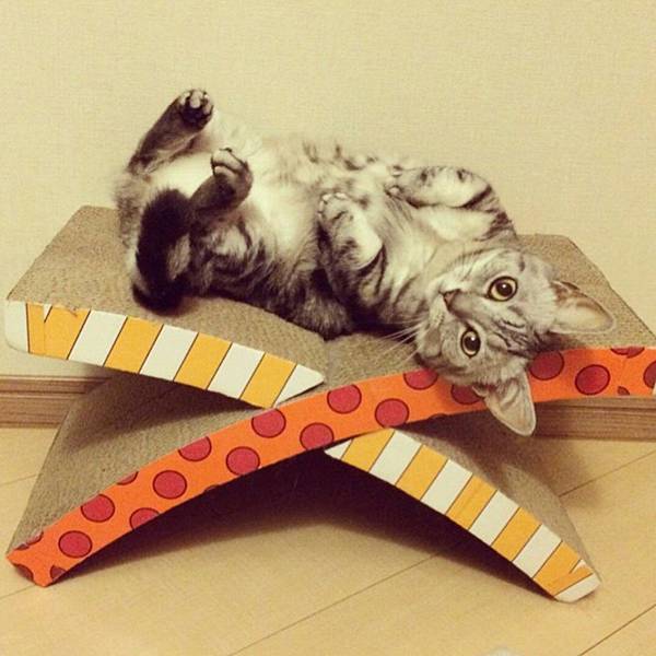 Screenshot_2014-09-23-20-42-00_1.jpg Screenshot_2014-09-23-20-42-00_1.jpg