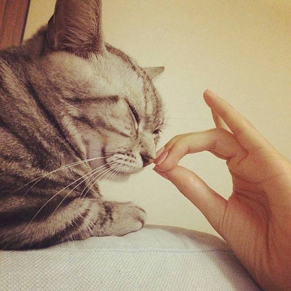 Screenshot_2014-09-23-20-45-34_1.jpg Screenshot_2014-09-23-20-45-34_1.jpg