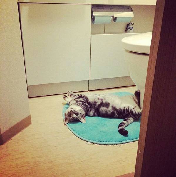 Screenshot_2014-09-23-20-46-57_1.jpg Screenshot_2014-09-23-20-46-57_1.jpg