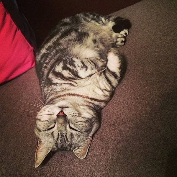 Screenshot_2014-09-23-20-54-59_1.jpg Screenshot_2014-09-23-20-54-59_1.jpg